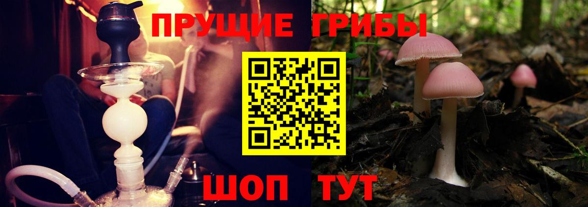 Галлюциногенные грибы прущие грибы Михайловск
